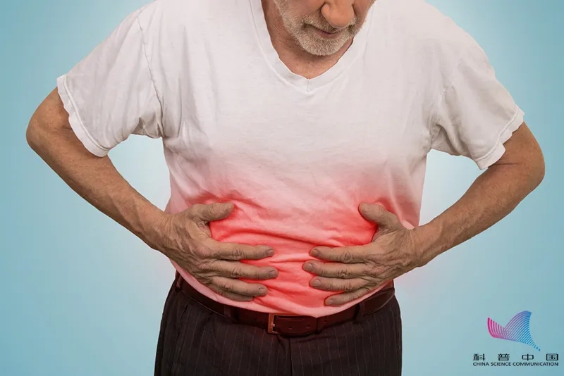 1625726263745776.jpg 640.webp (2).jpg